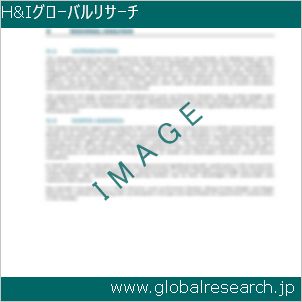 グローバルリサーチ調査レポートのイメージ